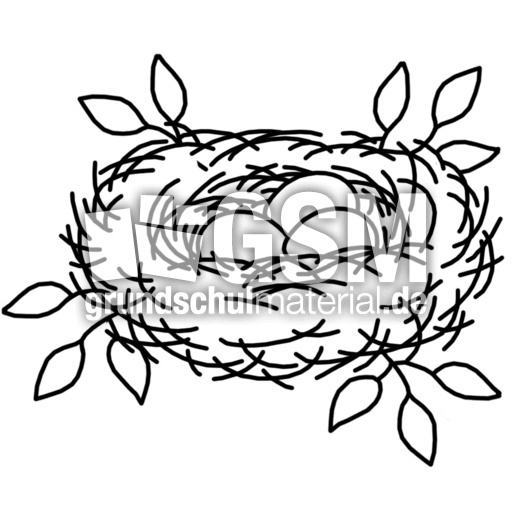 nest.jpg